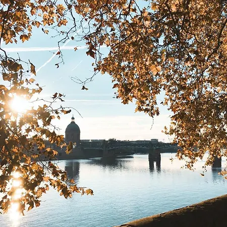 Center Of Toulouse